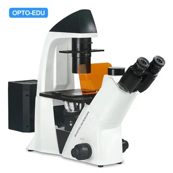 OPTO-EDU A16.2614-2 Microscopio BG de sistema de fluorescencia invertido profesional